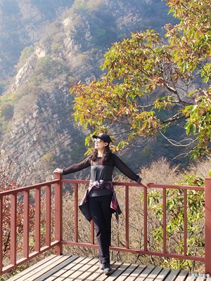 【秋至】N9下的梨木臺