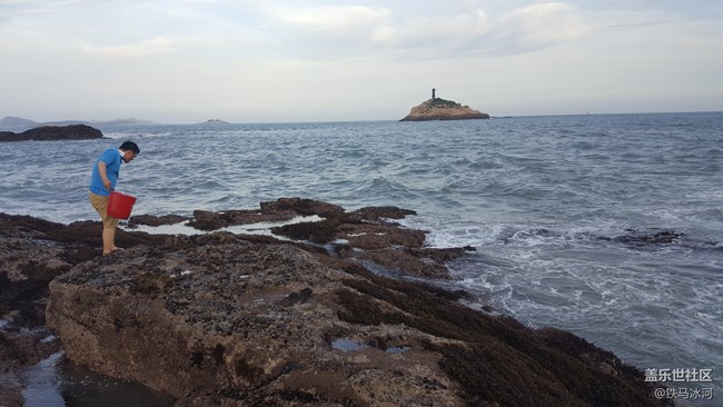 趕海。。。。。。