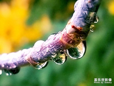 【秋至】+落雨的秋