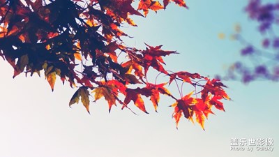 不一樣的調(diào)調(diào)不一樣的感覺