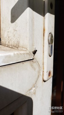 隨手拍-四害之一