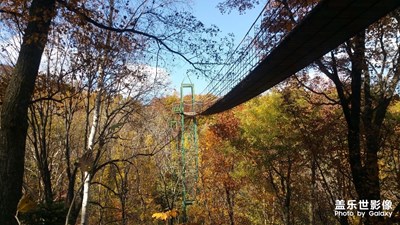 【秋至】+秋色宜人