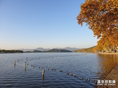 ［秋至］+秋色的色彩