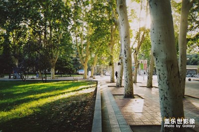 清晨的第一束陽光