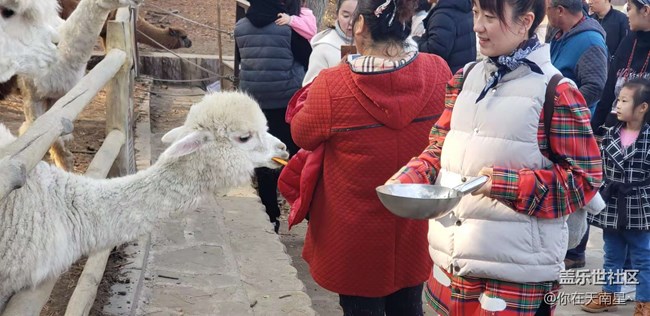 沈陽星部落看動物觀熊貓活動回顧貼