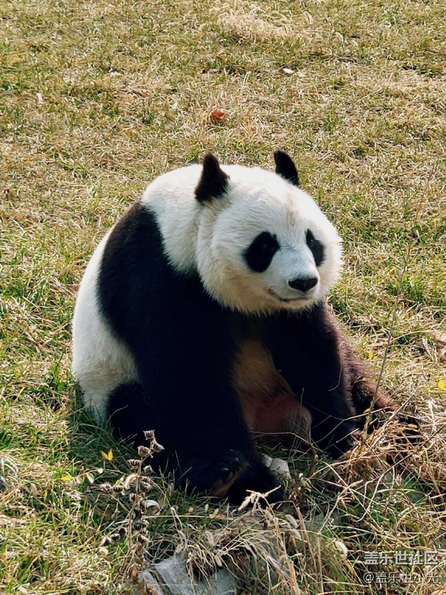 秋游之沈陽森林動物園——三星在手，天下我有
