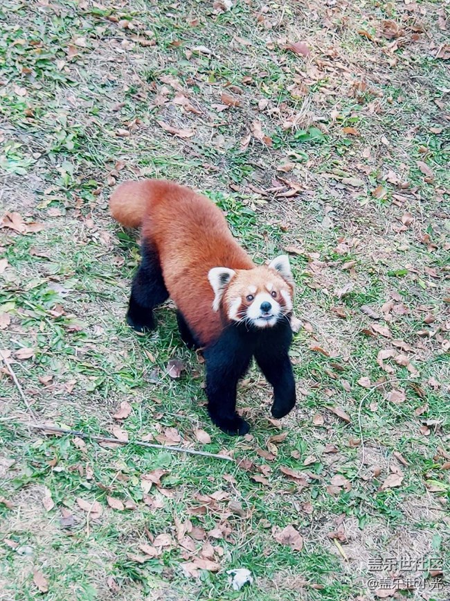 秋游之沈陽森林動物園——三星在手，天下我有