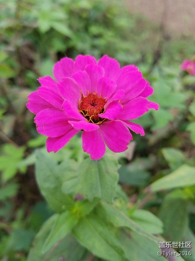 過氣旗艦..隨拍