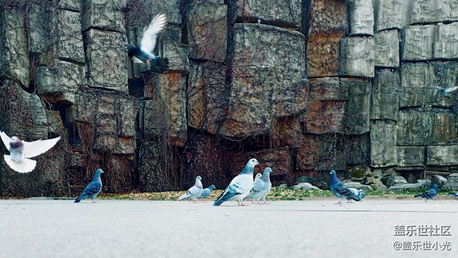 秋游之沈陽森林動物園——三星在手，天下我有