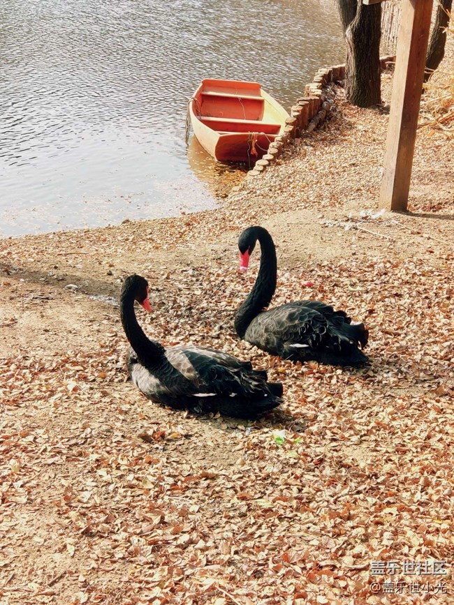 秋游之沈陽森林動物園——三星在手，天下我有