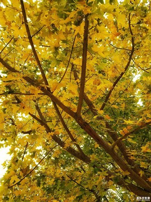 【我的日常生活】+放學時分和周末游齊盛湖二期