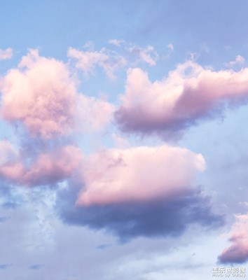 蓋樂世攝影周賽第66期-我的日常生活