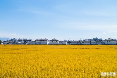 【為中國(guó)添色】金玉深秋（專業(yè)組）