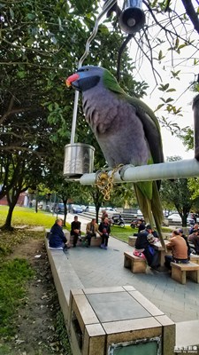 【我的日常生活】+老有所樂(lè)