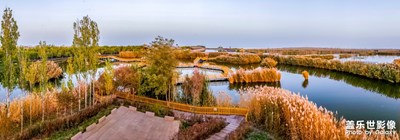 【為中國添色】《壯美的西域大漠風光》 （大眾組）