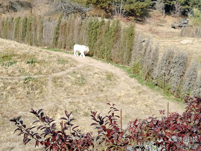 沈陽(yáng)森林動(dòng)物園之旅