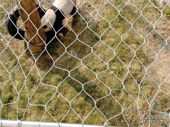 沈陽(yáng)森林動(dòng)物園之旅