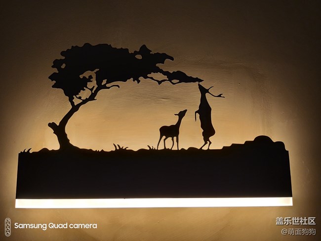 三星Galaxy A9s四個(gè)攝像頭都能做什么呢？