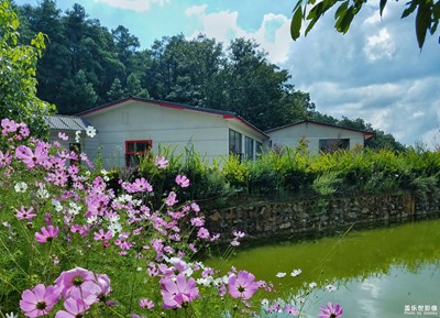 【我的日常生活】+處處充滿色彩