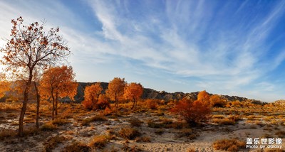 【為中國添色】《秋天里的童話》 （大眾組）