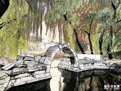 彎彎曲曲之線條