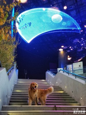 【我的日常生活】+路遇小可愛