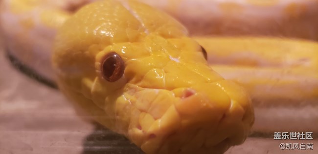 一篇有內容的動物園回顧貼