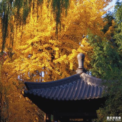 【為中國添色】古城秋韻 （大眾組）