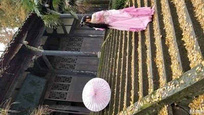 靈巖寺觀賞銀杏