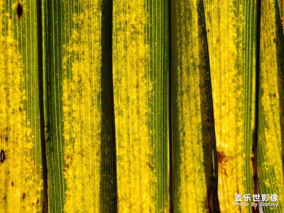 世上沒有比自然更美麗的。