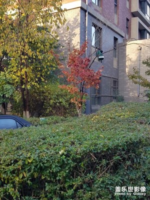 【我的日常生活】+忙碌的生活