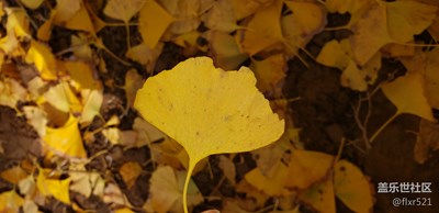 西安每一個美麗的角落