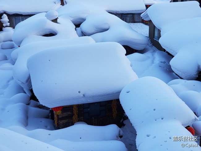 【活動招募】哈爾濱星部落年終聚會 齊聚雪鄉(xiāng) 共暢未來
