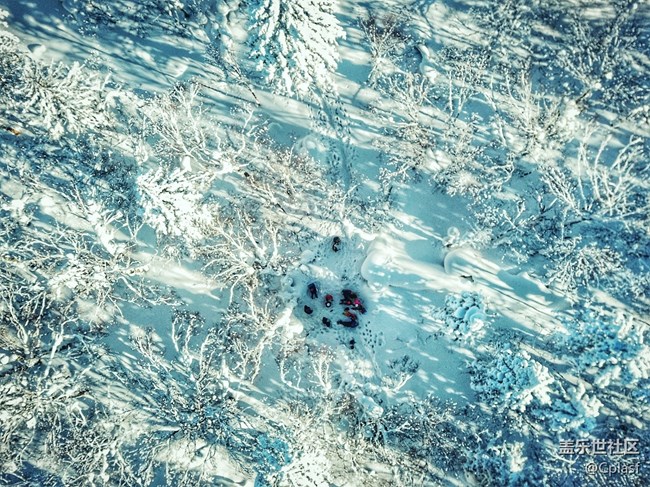 【活動招募】哈爾濱星部落年終聚會 齊聚雪鄉(xiāng) 共暢未來