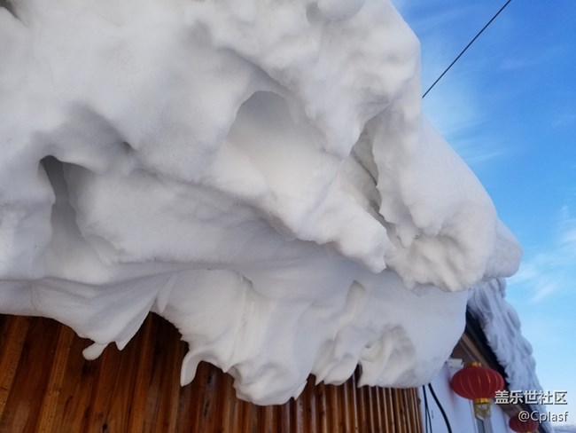 【活動招募】哈爾濱星部落年終聚會 齊聚雪鄉(xiāng) 共暢未來