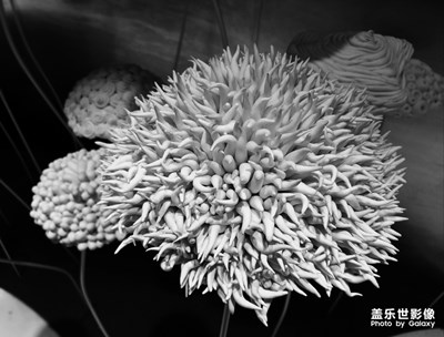 抽象與藝術(shù)