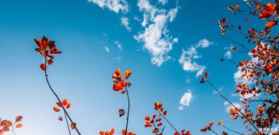 【為中國添色】華夏千年的美藏那一顰一色里 （上-專業(yè)組）