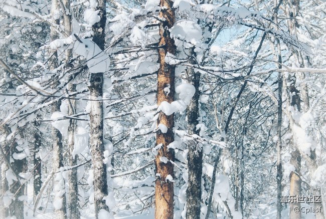 【活動招募】哈爾濱星部落年終聚會 齊聚雪鄉(xiāng) 共暢未來