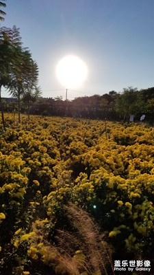 立冬后，還是熱的很