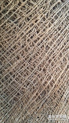 note3 拍的照片，這么厲害!