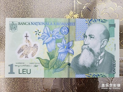 羅馬尼亞的紙幣