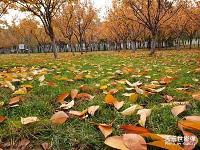 秋天的美麗風(fēng)景