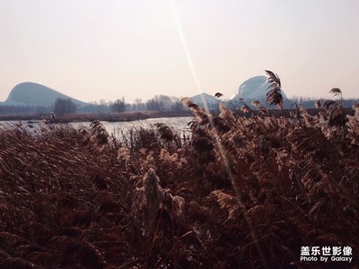 冬季濕地第一彈