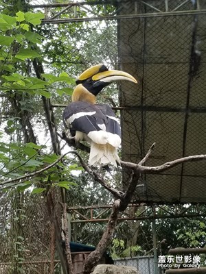 逛動(dòng)物園時(shí)的隨拍