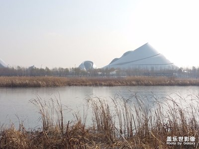 冬季濕地第二彈