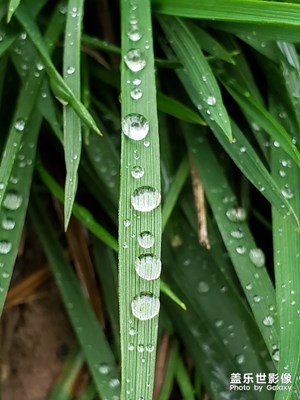 站著冬天的入口