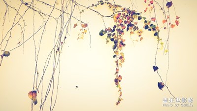 冬日如畫《續(xù)》