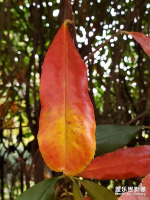 來的時候*來了。。。。。。