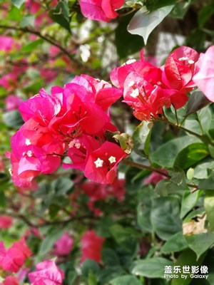 生活的美好~