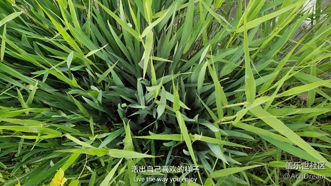 聽說快更新9.0，激動的發(fā)幾張9+拍的照片